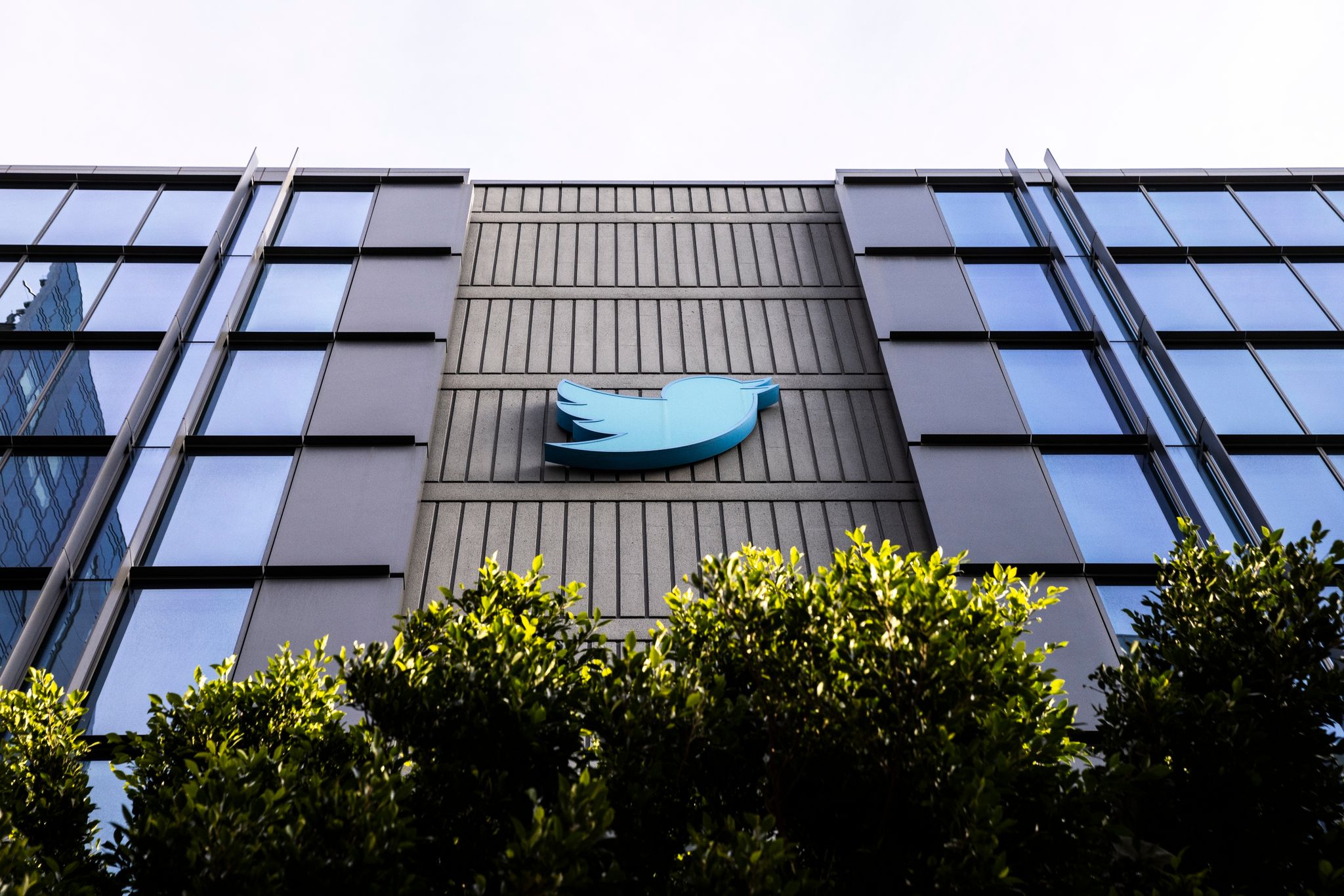 Twitter pausiert Abo-Verifizierung nach vielen Fake-Accounts