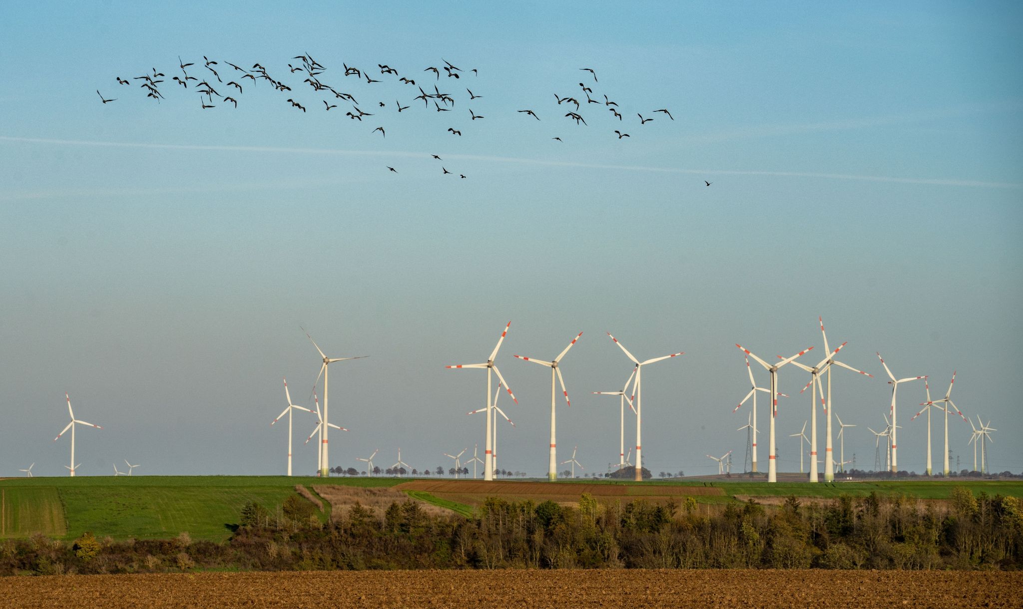 IW-Studie: Fachkräftemangel gefährdet Energiewende