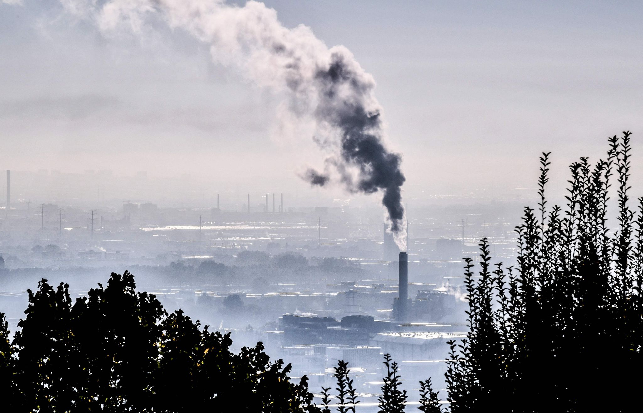 Kein Schadenersatz für Erkrankte wegen Luftverschmutzung