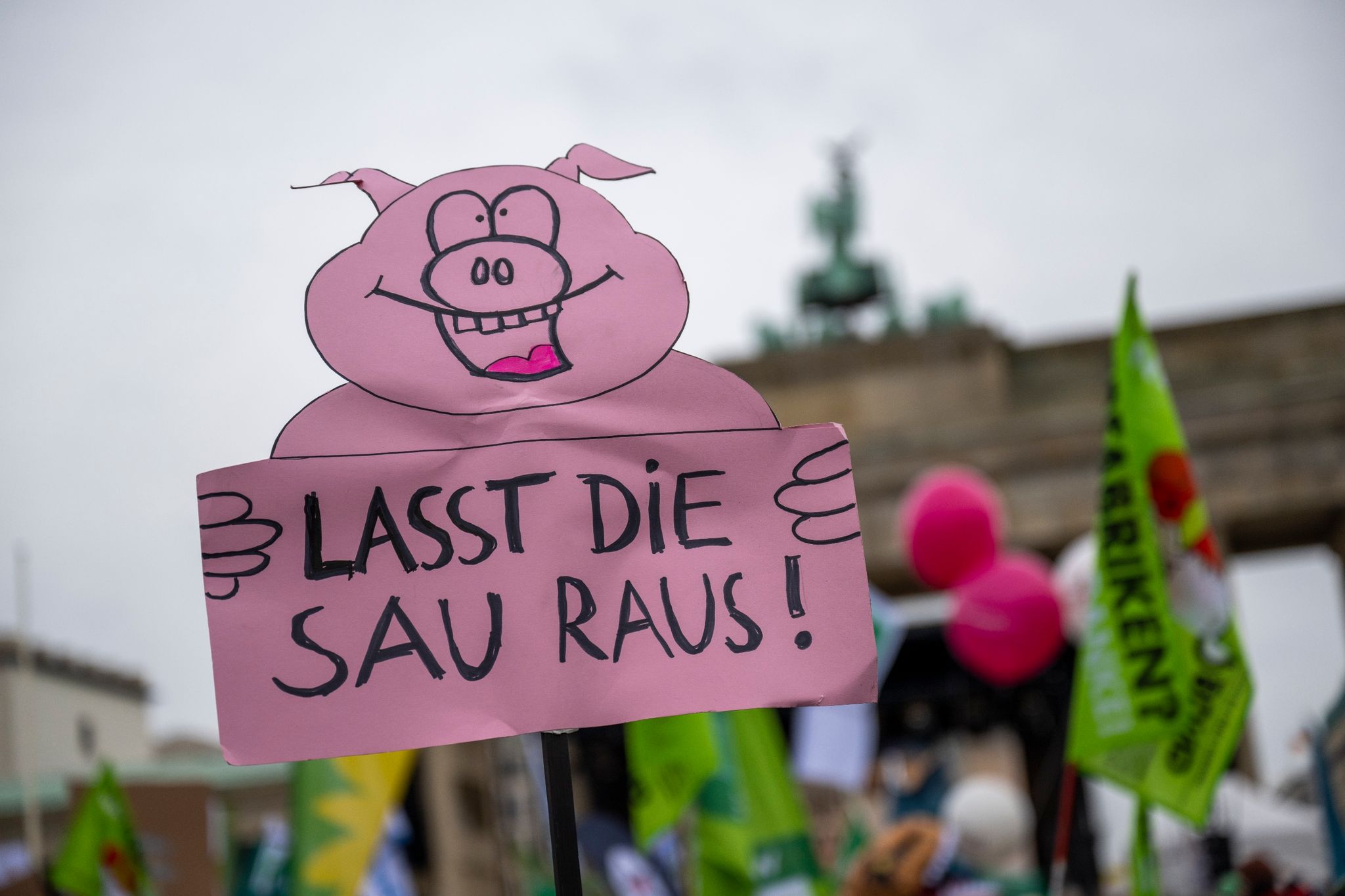 Mit Traktoren und Schweinefiguren – Protest für Agrarwende