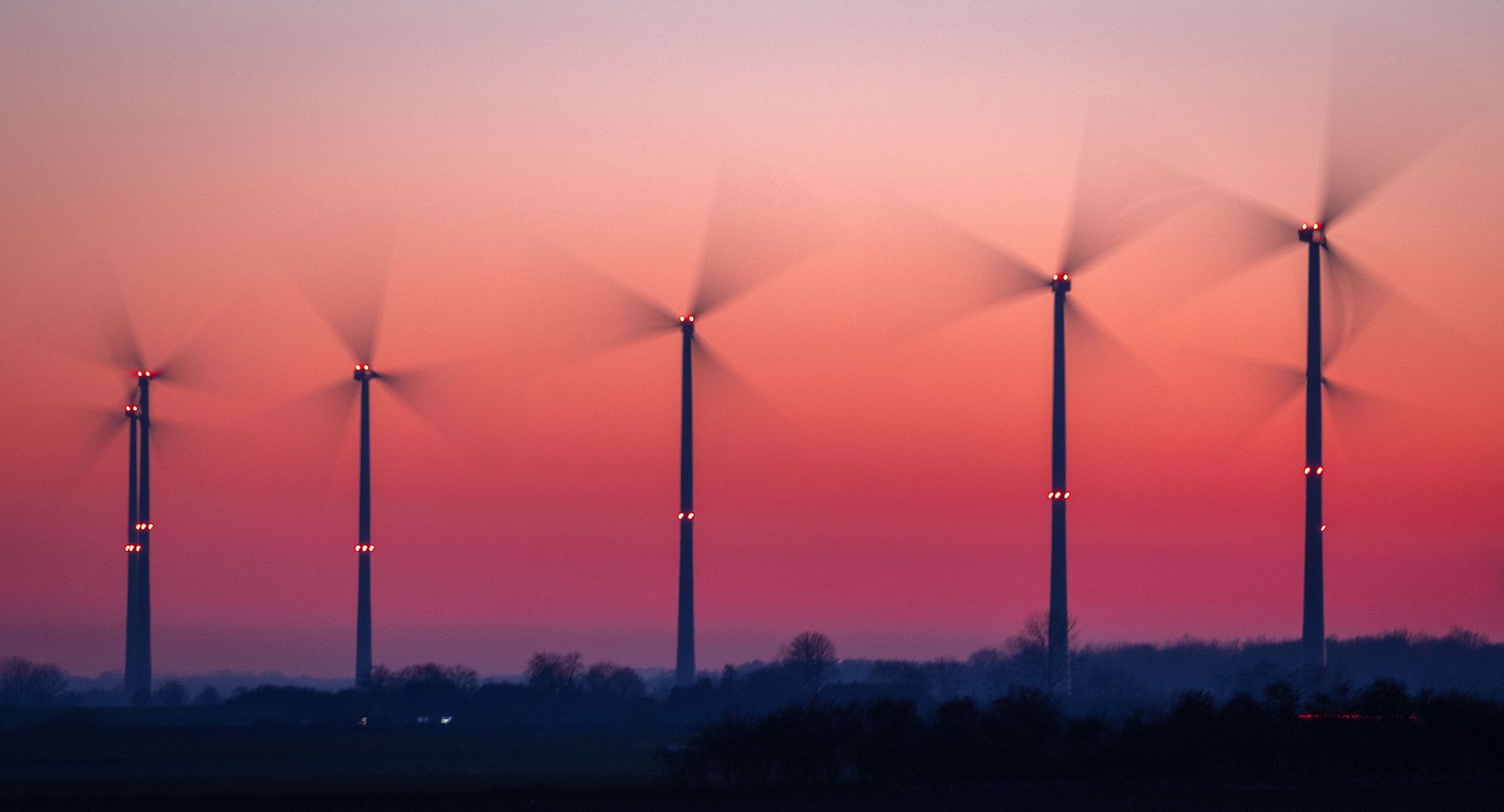 Nabu kritisiert mangelnden Artenschutz bei Windkraft-Ausbau