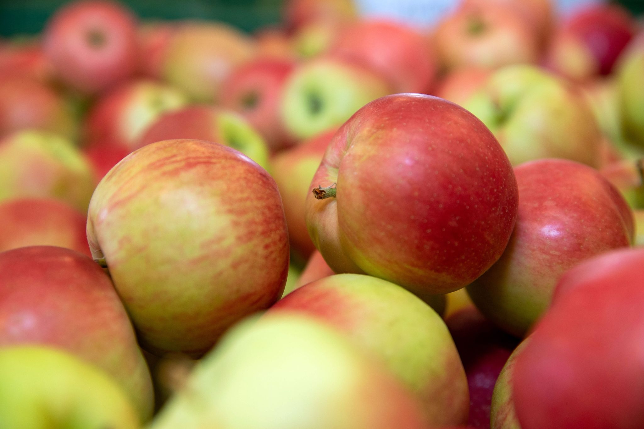 Nach Gemüse könnte auch Obst in Großbritannien knapp werden