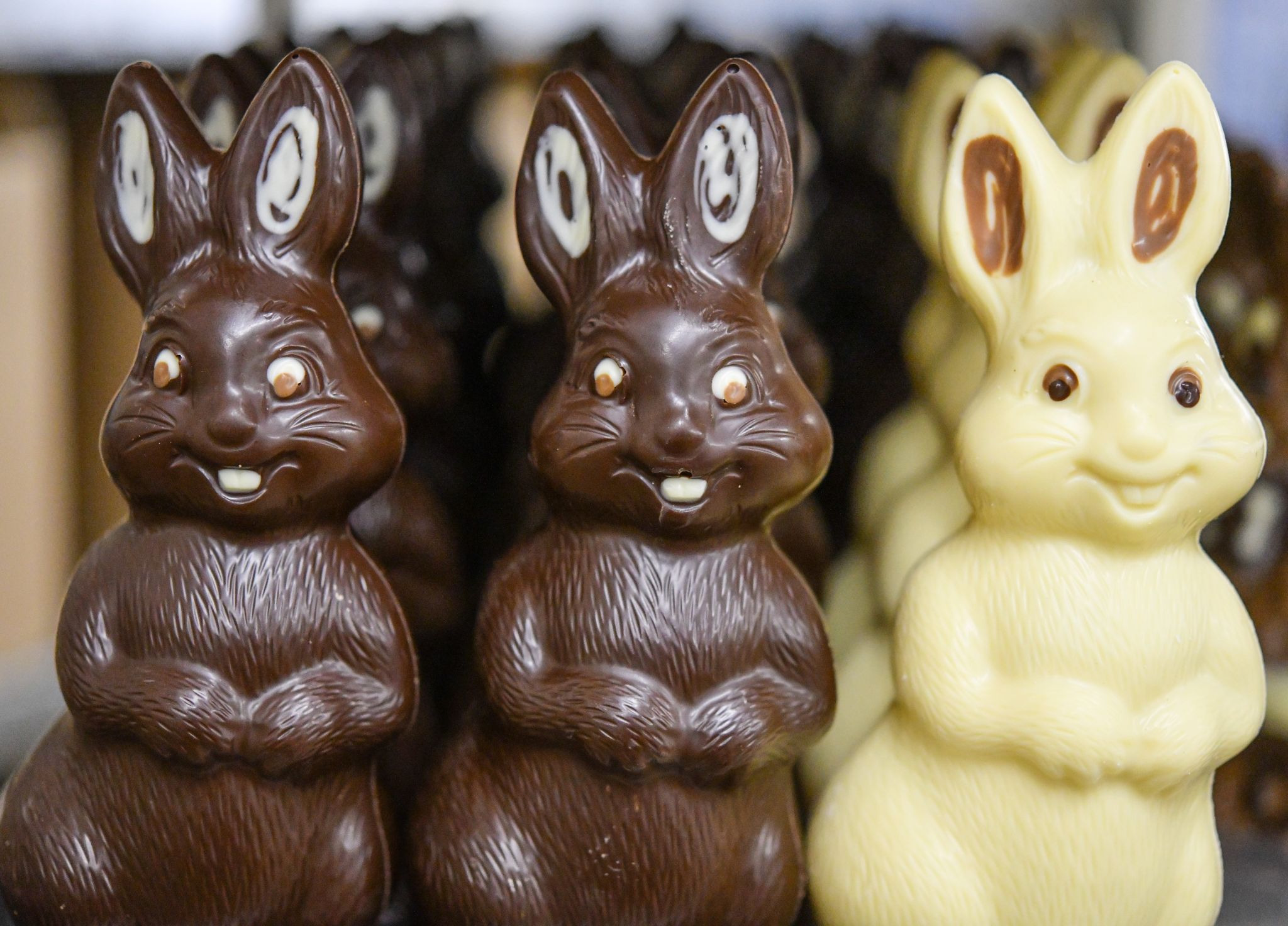 Rund 230 Millionen Schoko-Osterhasen für die Festtage