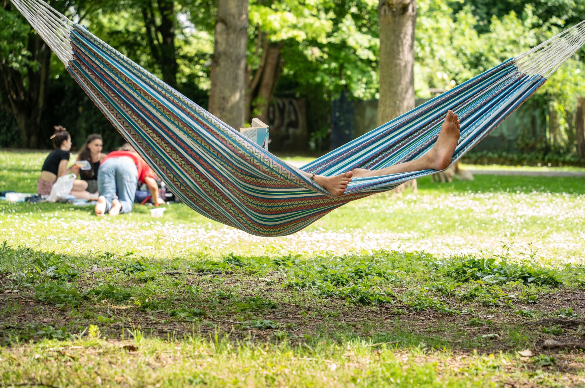 Ifo: Bildungsurlaub und Sabbatical wenig gefragt