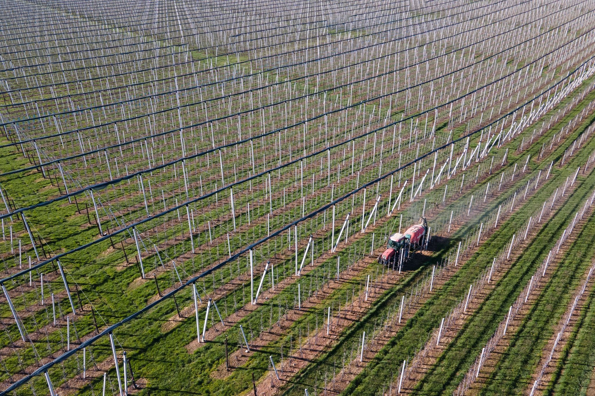 Preisauftrieb bei Agrarprodukten schwächt sich weiter ab