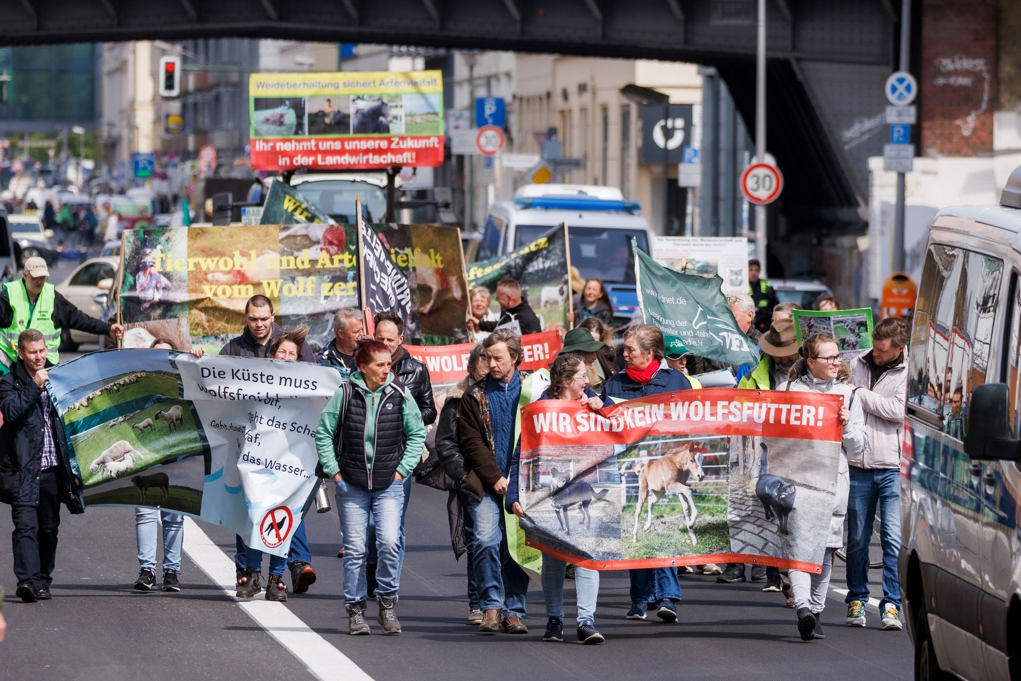 Bauernverband fordert Abschuss von «Problemwölfen»