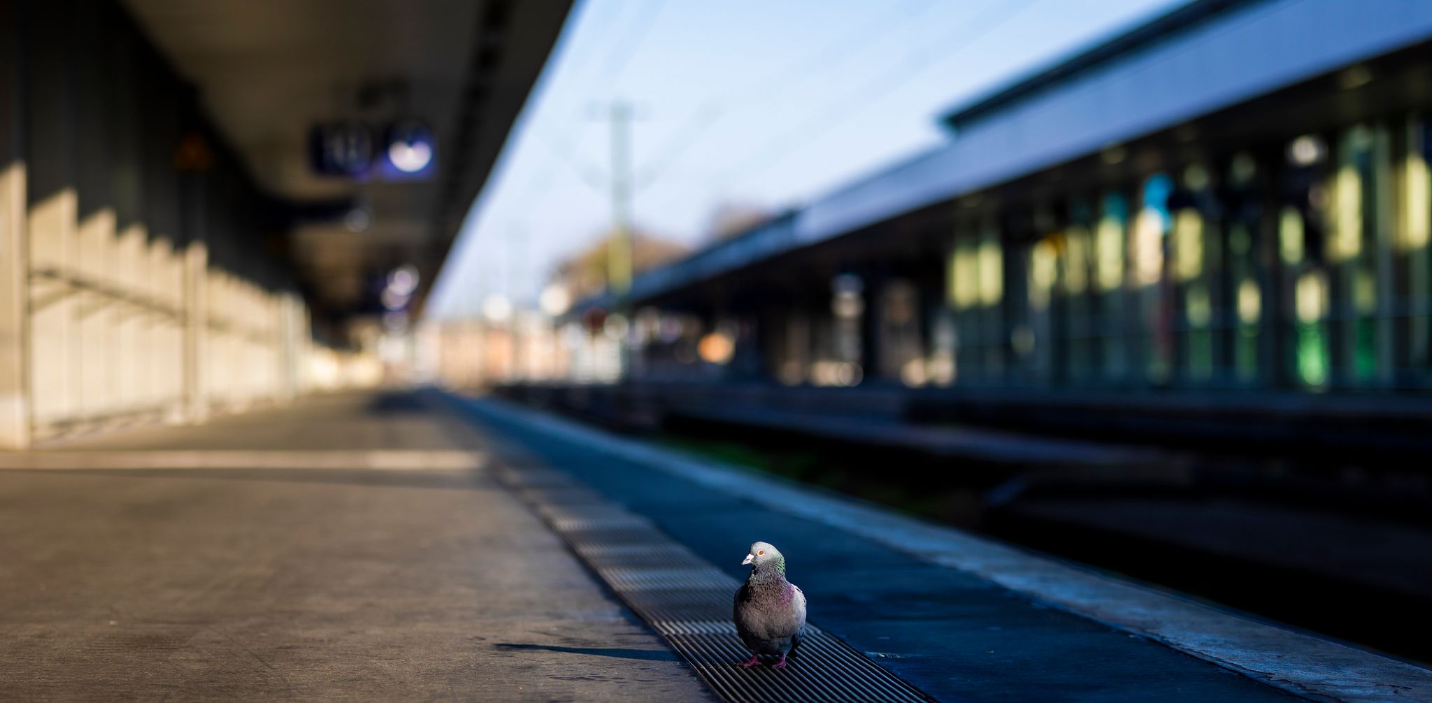 Montag und Dienstag kein Bahn-Fernverkehr