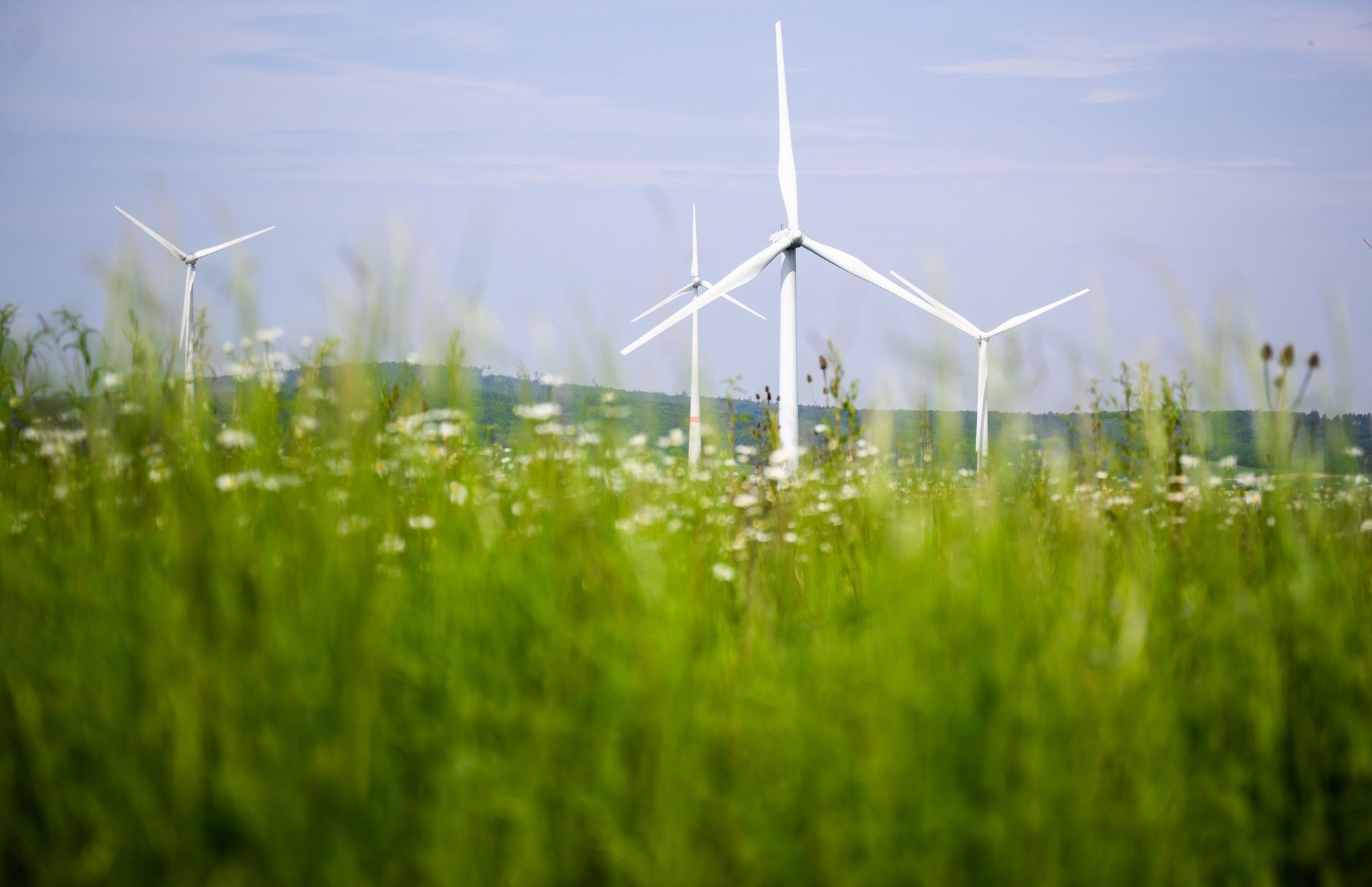 Vorsicht vor «Greenwashing» im Finanzsektor