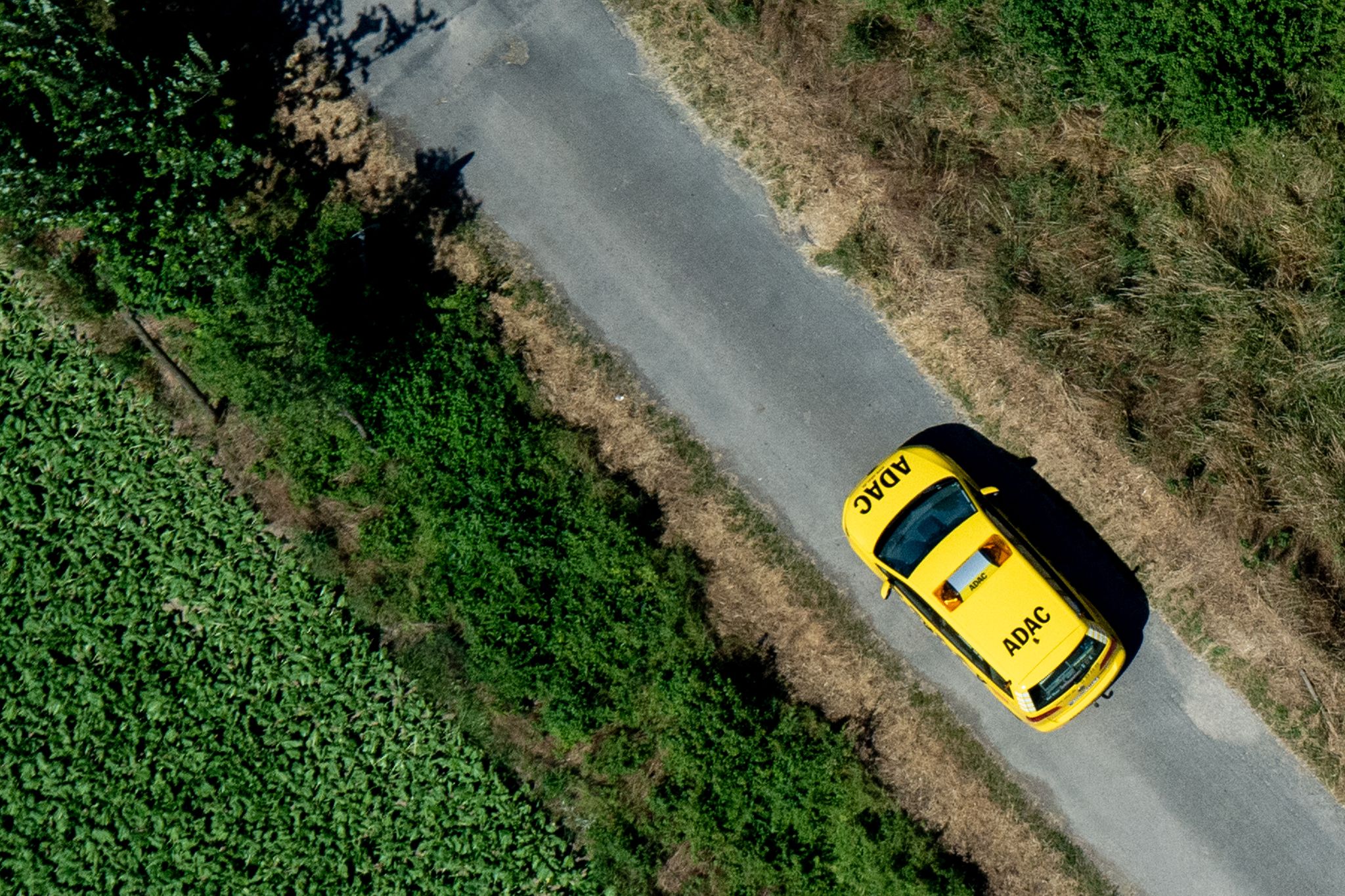 ADAC-Umfrage: Mobilitätswende kommt nur langsam voran