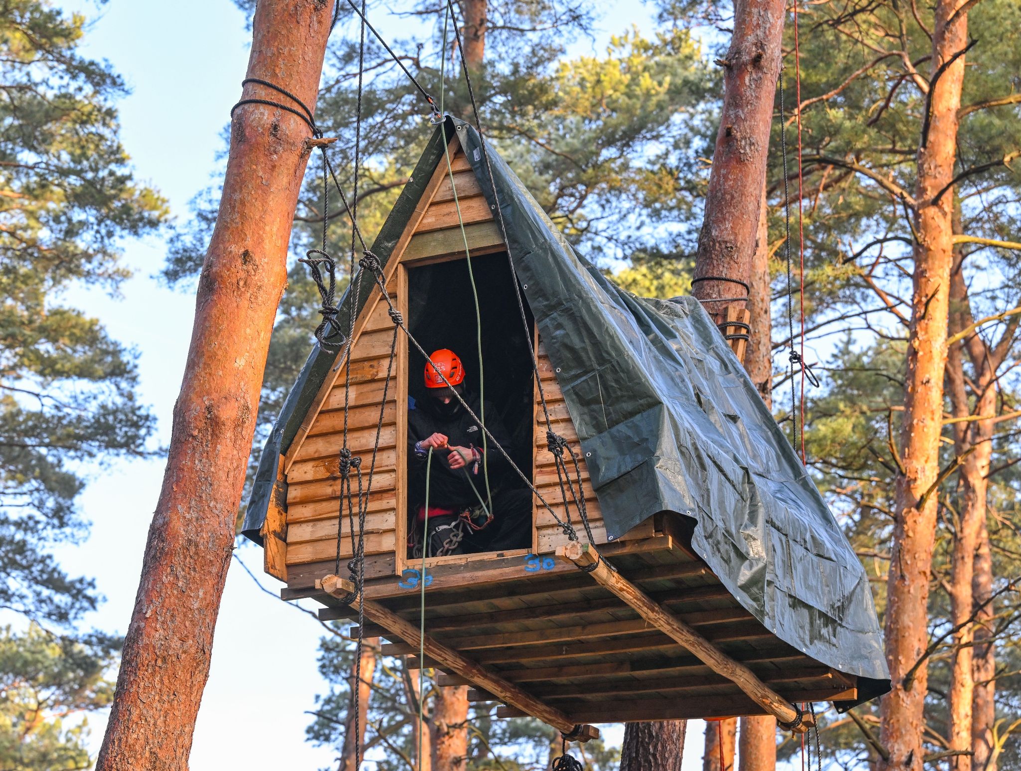 Baumhäuser gegen Tesla – Aktivisten protestieren im Wald