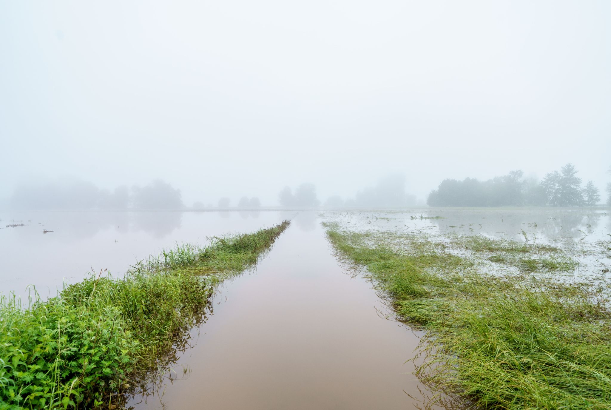 Saar-Bauern leiden unter Hochwasserschäden