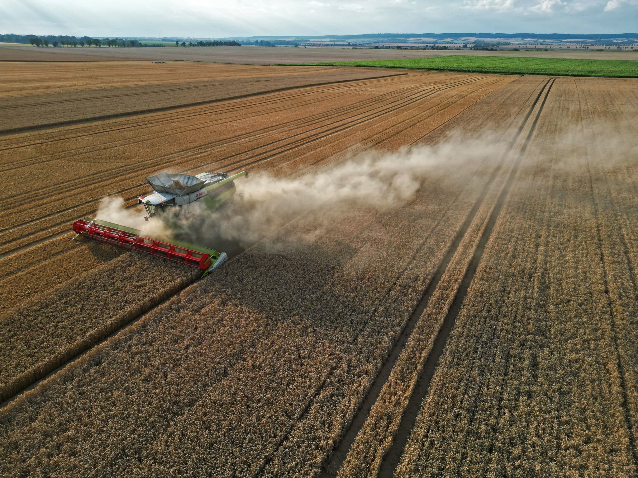 Bauern setzen noch auf sonnige Tage für die Ernte