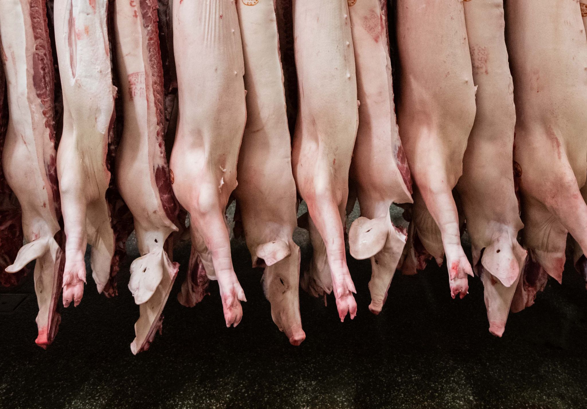 Nach Rückgang: Wieder mehr Fleisch aus deutscher Produktion