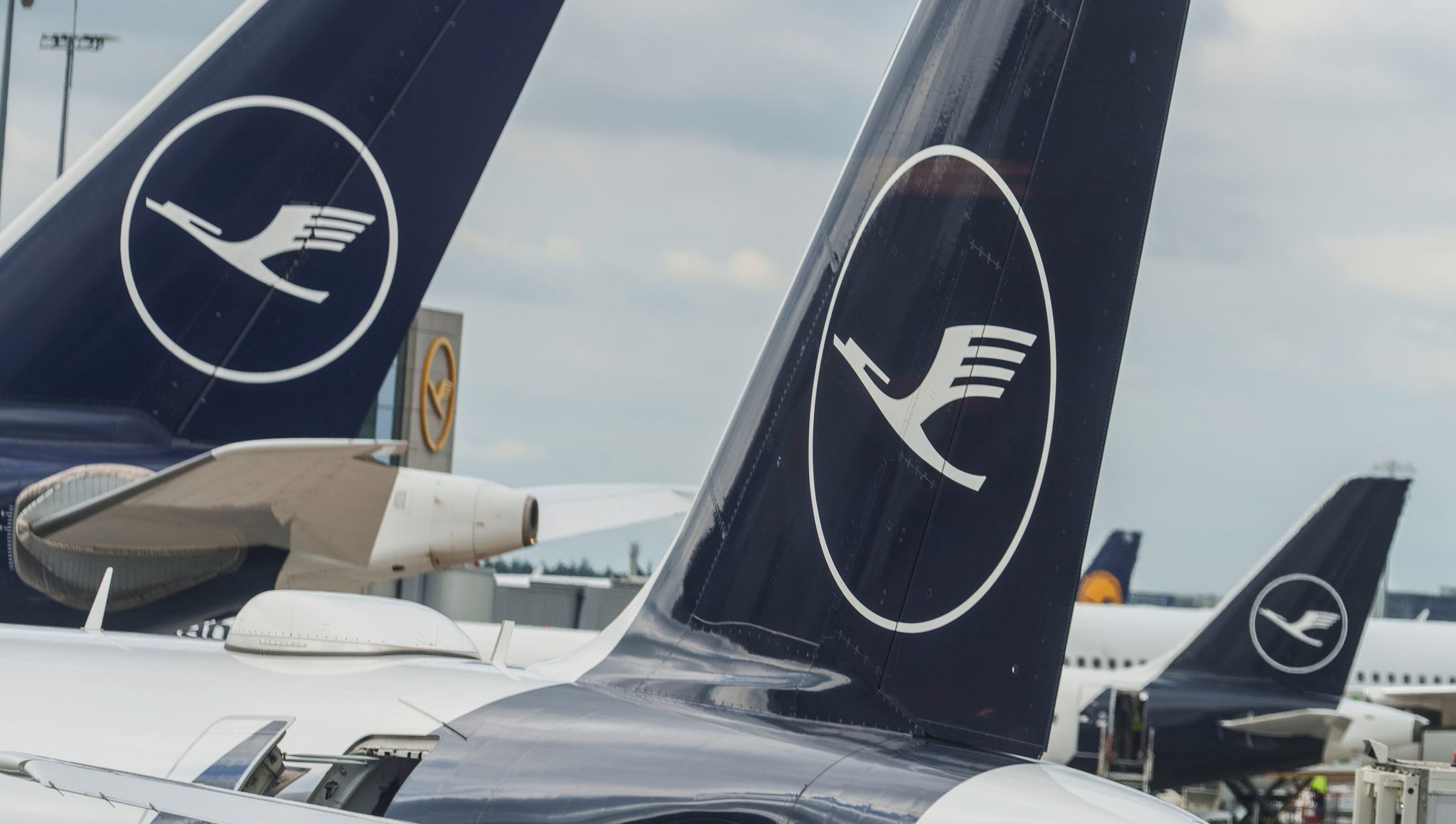 Lufthansa-Gewinn bricht ein – Kernmarke schreibt rote Zahlen