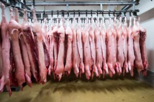 China verhängt Zölle auf Schweinefleisch aus der EU